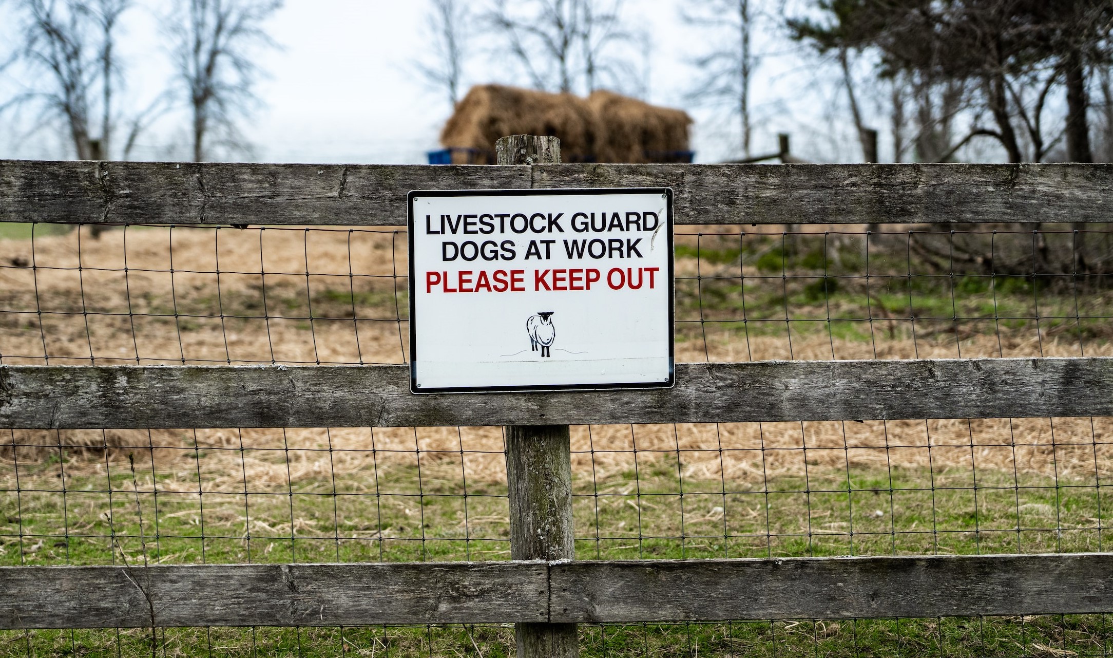 A guard dog sign protecting the livestock of a farm
