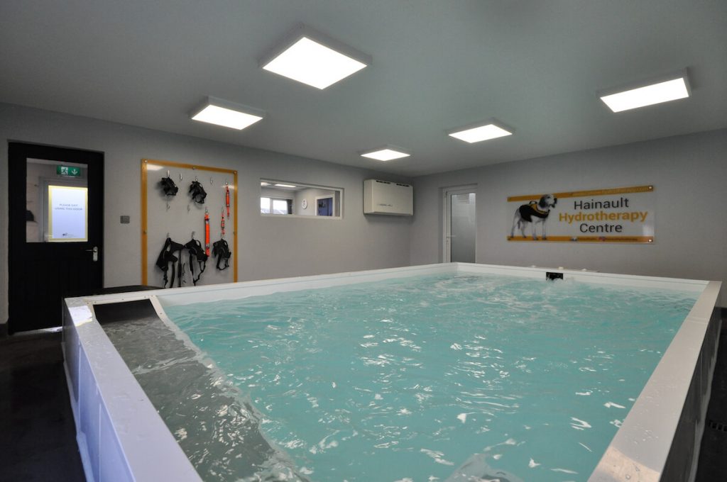A dog hydrotherapy centre with a large pool with jets