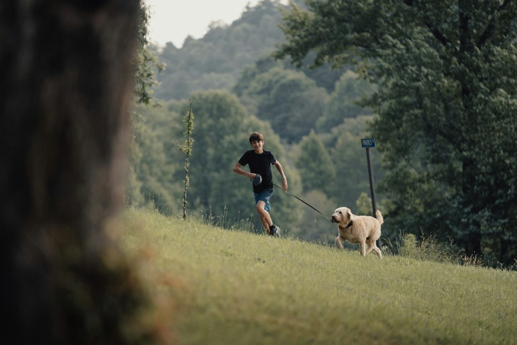 A person walking his dog on the hill