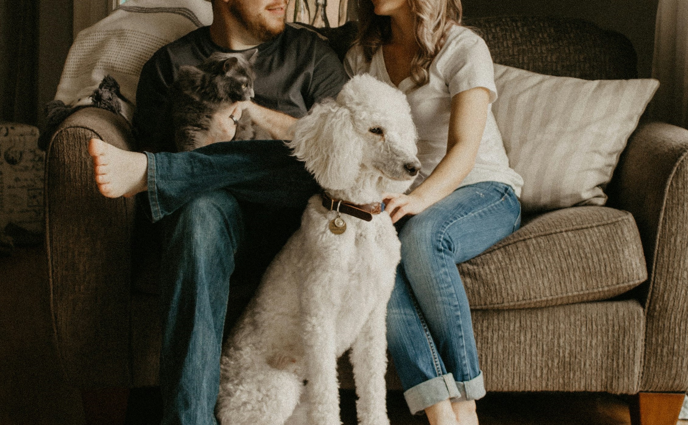 A young couple with a poodle dog in their first home